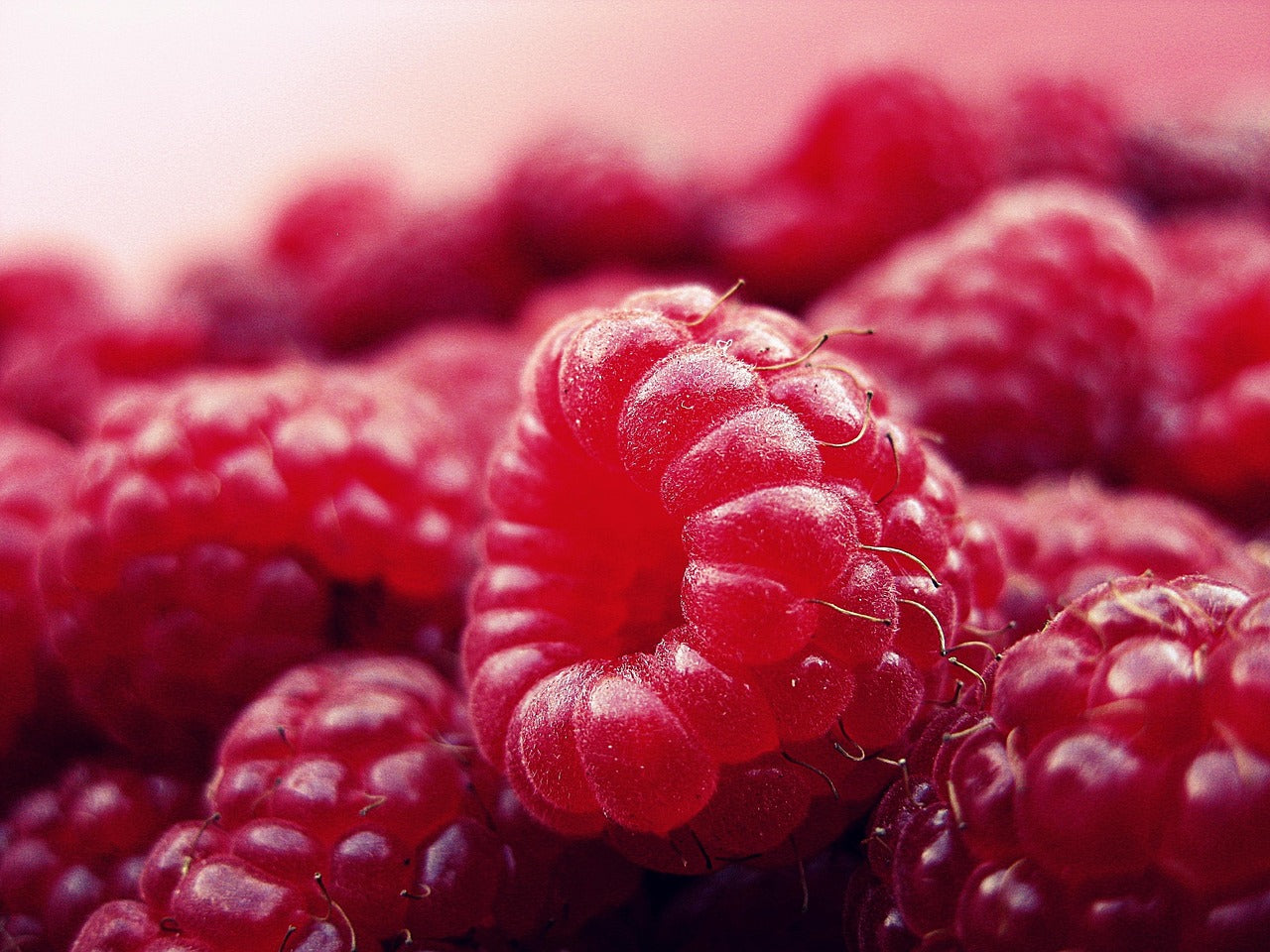 Himbeere
