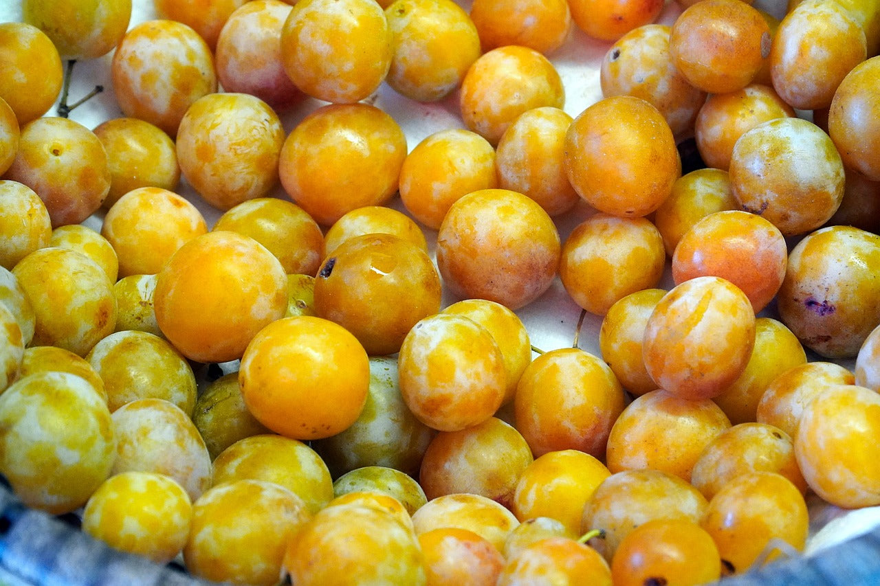 Mirabelle